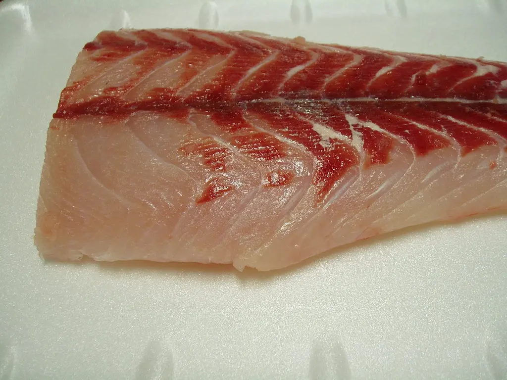 Róbalo Cocido a la Gallega: Sabor Puro del Mar con un Toque Tradicional El róbalo cocido a la gallega es una receta clásica que destaca por su preparación sencilla y su sabor auténtico. La cocción suave en un caldo aromatizado con hinojo y cebolla resalta la delicadeza de la carne del pescado, mientras que un toque de aceite de oliva y limón realza su frescura. Servido con una salsa mahonesa casera, este plato es ideal para quienes buscan disfrutar del mejor pescado con una preparación natural y saludable. Ingredientes para 4 personas 1 ½ kg de róbalo fresco 2 cebollas grandes 2 ramas de hinojo fresco ½ limón (zumo) 1 vasito de aceite de oliva virgen extra Sal al gusto Agua (suficiente para la cocción) Salsa mahonesa casera (opcional, para acompañar) Elaboración paso a paso 1. Preparación del róbalo Limpiamos el róbalo retirando las vísceras y lavándolo bien bajo agua fría. Podemos dejarlo entero o cortarlo en rodajas gruesas, según nuestra preferencia. 2. Cocción del pescado En una besuguera o cazuela baja y amplia, añadimos agua suficiente para cubrir el pescado y la llevamos a ebullición. Incorporamos las cebollas cortadas en cuartos y las ramas de hinojo, que aportarán un toque aromático suave y fresco. Colocamos el róbalo en la cazuela y dejamos cocer a fuego medio, sin que el agua llegue a hervir a borbotones, para evitar que el pescado se deshaga. Cuando el róbalo esté casi cocido, añadimos sal al gusto, el aceite de oliva y el zumo de medio limón, removiendo ligeramente para que los sabores se integren. Cocinamos durante unos minutos más, asegurándonos de que el pescado esté en su punto y retiramos la cazuela del fuego. 3. Presentación y acompañamiento Escurrimos el róbalo y lo colocamos en una fuente, acompañado de las cebollas cocidas y el hinojo. Servimos caliente con salsa mahonesa en salsera aparte, permitiendo que cada comensal se sirva al gusto. Para una presentación más completa, podemos añadir unas patatas cocidas o una ensalada ligera como guarnición. Consejos para un róbalo cocido perfecto No sobrecocer el pescado: La carne del róbalo es tierna y delicada; una cocción prolongada podría hacer que se deshaga. Controlar la ebullición: Mantener el agua a fuego medio, sin hervir bruscamente, permite que el pescado conserve su textura firme. Añadir el aceite y el limón al final: Esto ayuda a mantener los sabores frescos y evita que el pescado pierda jugosidad. Elegir un buen hinojo fresco: Sus notas anisadas combinan a la perfección con el róbalo, aportando un toque aromático único. Acompañamientos recomendados El róbalo cocido a la gallega se disfruta mejor con: Patatas cocidas al natural: Absorben los sabores del caldo y complementan la suavidad del pescado. Pan de Cea: Ideal para mojar en el caldo y la mahonesa. Ensalada de tomate y pimientos: Aporta frescura y un contraste ligero. Maridaje con vinos gallegos Este plato combina perfectamente con vinos blancos frescos y minerales, que resaltan su sabor sin enmascararlo: Albariño (D.O. Rías Baixas): Su acidez y notas cítricas armonizan con el toque de limón y el pescado blanco. Godello (D.O. Valdeorras): Su cuerpo y sutiles notas florales equilibran la suavidad del róbalo. Treixadura (D.O. Ribeiro): Aporta un punto afrutado y fresco que complementa la salsa mahonesa. Conclusión El róbalo cocido a la gallega es un plato sencillo pero lleno de sabor, donde la calidad del pescado es la gran protagonista. Su cocción en un caldo ligero con hinojo y cebolla le otorga una textura jugosa y un aroma inconfundible. Acompañado de salsa mahonesa y un buen vino gallego, se convierte en una opción deliciosa y saludable para disfrutar del mejor pescado con el auténtico sello de Galicia. ¡Anímate a prepararlo y descubre por qué la cocina gallega enamora a todos los paladares!